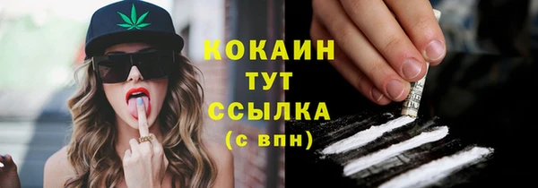 дурь Рославль