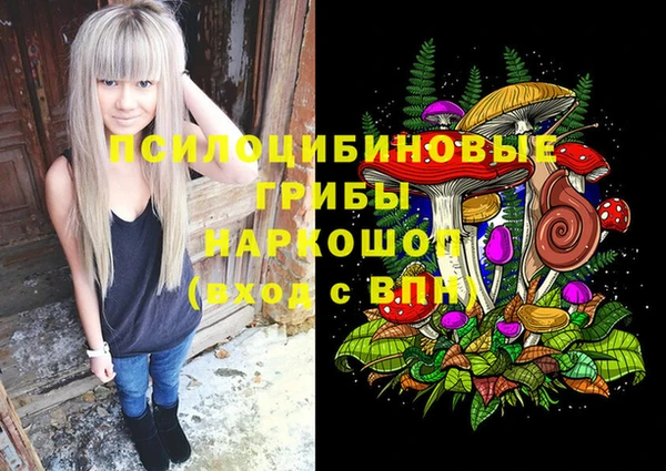 дурь Рославль